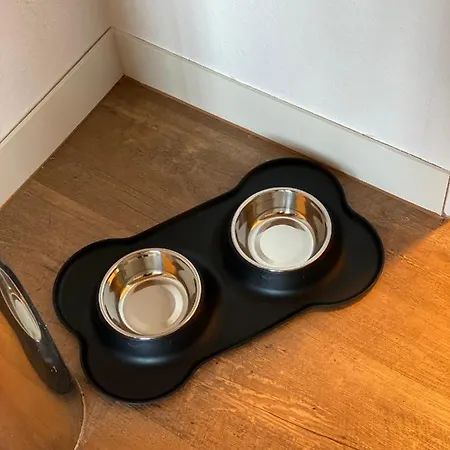 Apartment Auszeit *